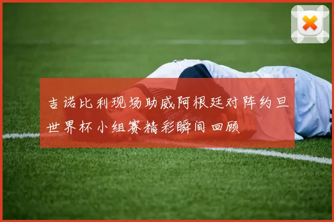 吉诺比利现场助威阿根廷对阵约旦世界杯小组赛精彩瞬间回顾