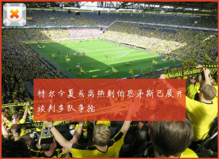 特尔今夏或离热刺伯恩茅斯已展开谈判多队争抢